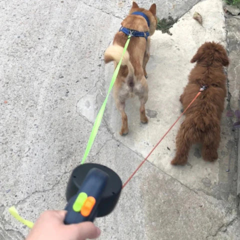 dual untagle dog leash