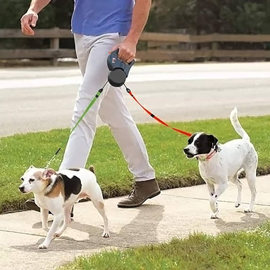 dual untagle dog leash